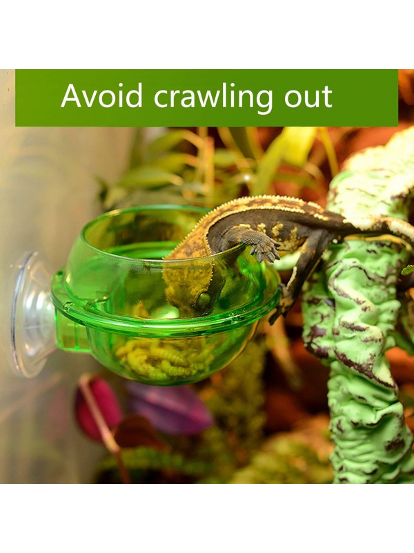 Anti-escape Lizard Chameleon Food Bowl