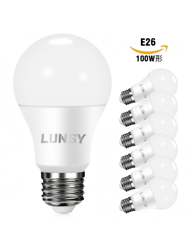 A19 LED Light Bulb
