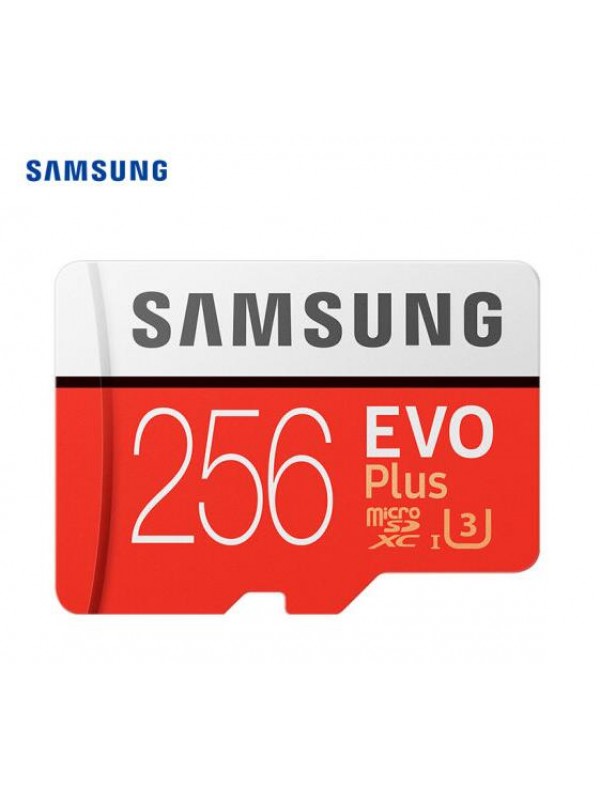 Samsung 256GB 100Mb/s Class10 TF Card