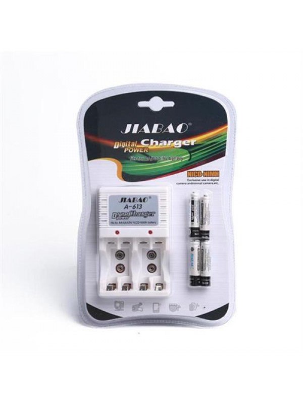 Jiabao A613 Multi Battery Charger with 4 Pieces