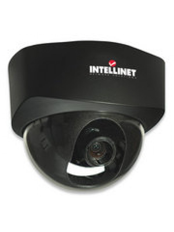 Intellinet NFD30 Network Dome Camera MPEG4 +