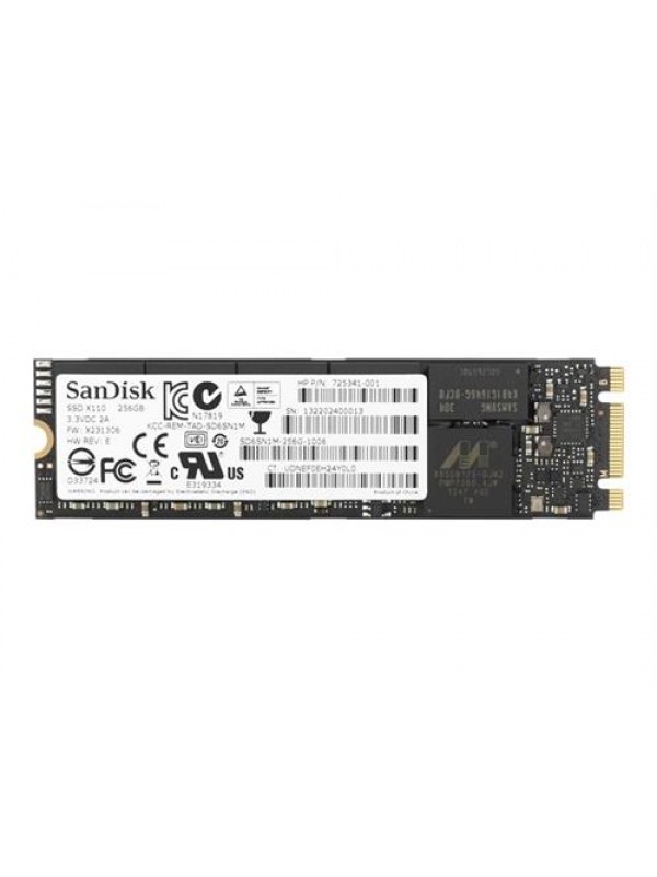 HP 256GB M2 Solid State Drive