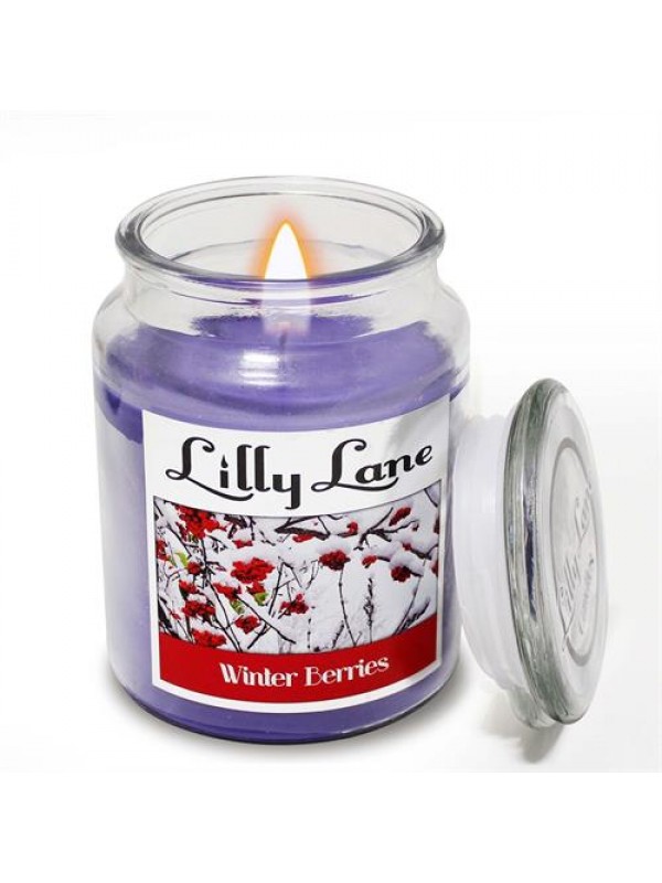 Lilly Lane Winter Berries Scented Candle Large